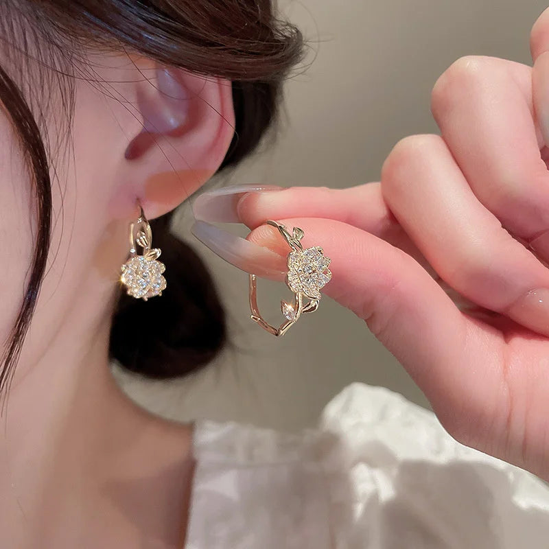 Boucles d'oreilles